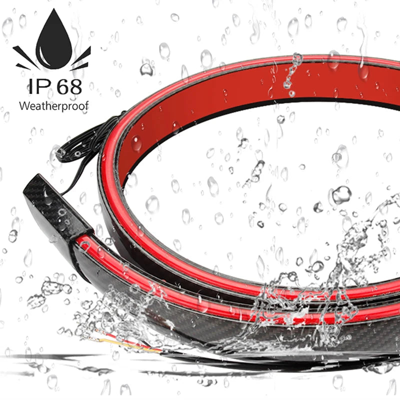 Universal Carbon Fiber Multifunction Trunk