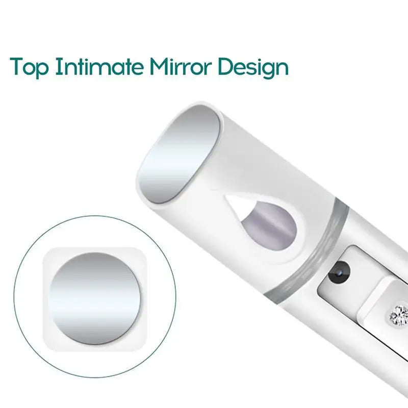 Mini Facial Steamer